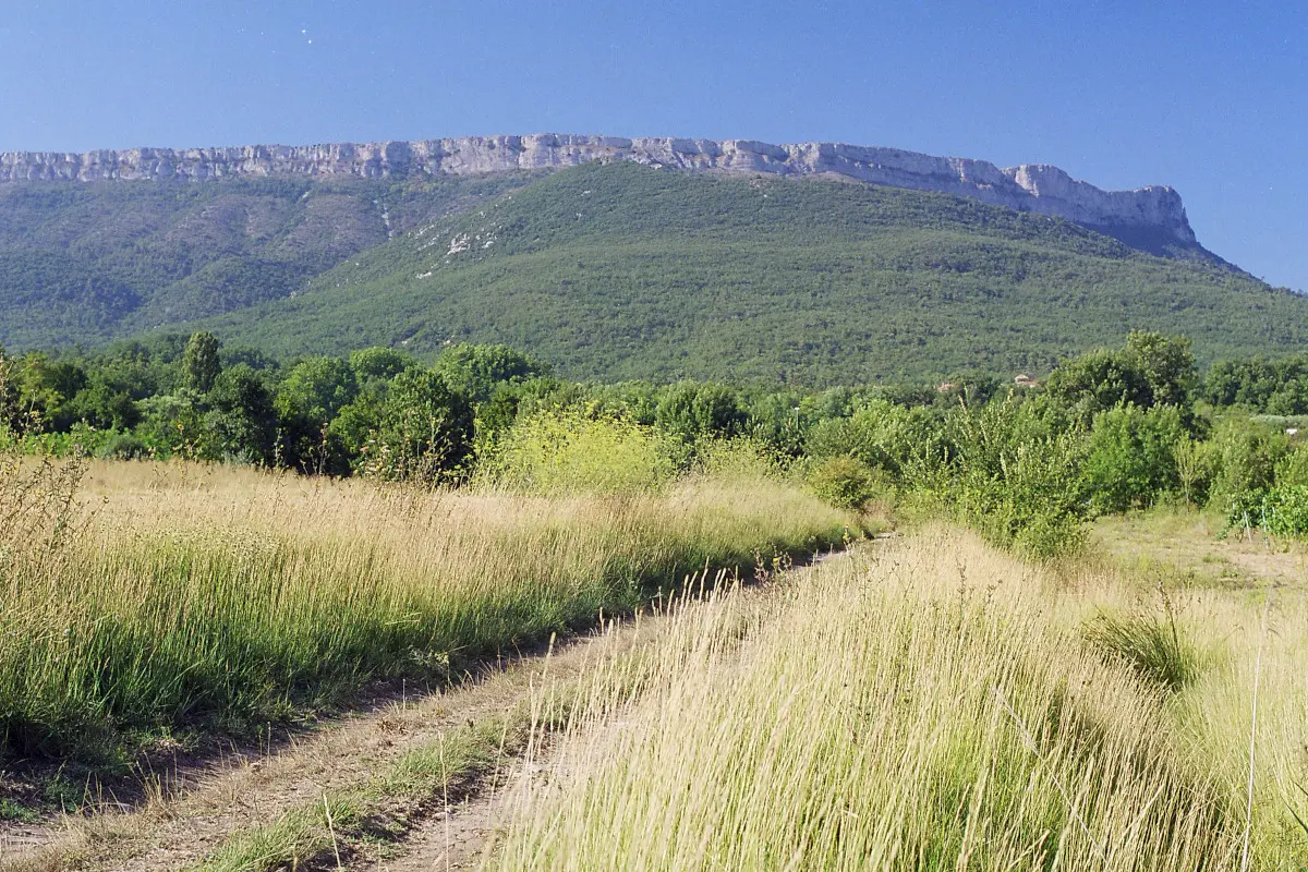 Vue sur le Mont Aurélien