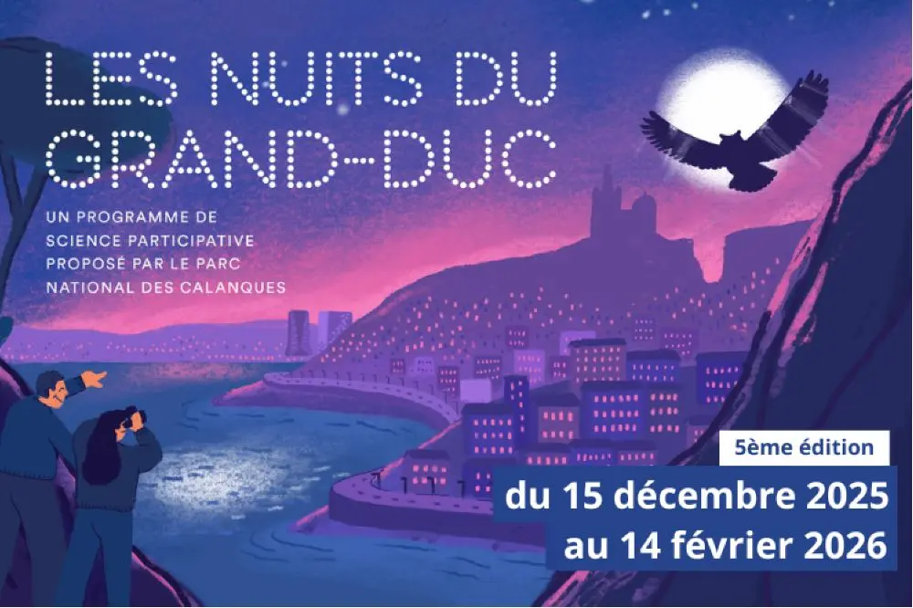 Les Nuits du Gand-Duc à Marseille