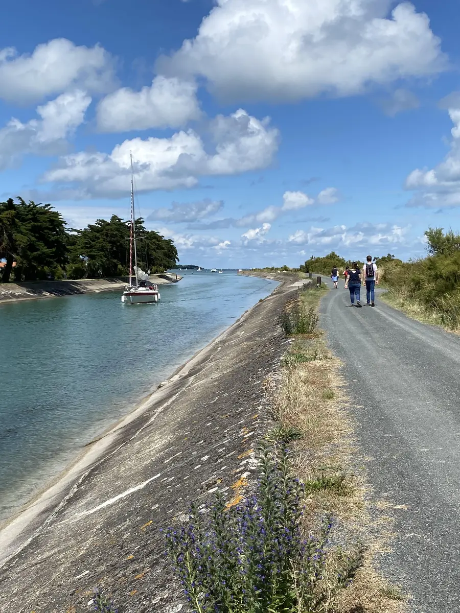 Promenade le long du chenal d'Ars-en-Ré