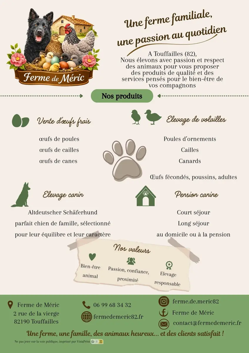 flyer La Ferme de Méric à Touffailles