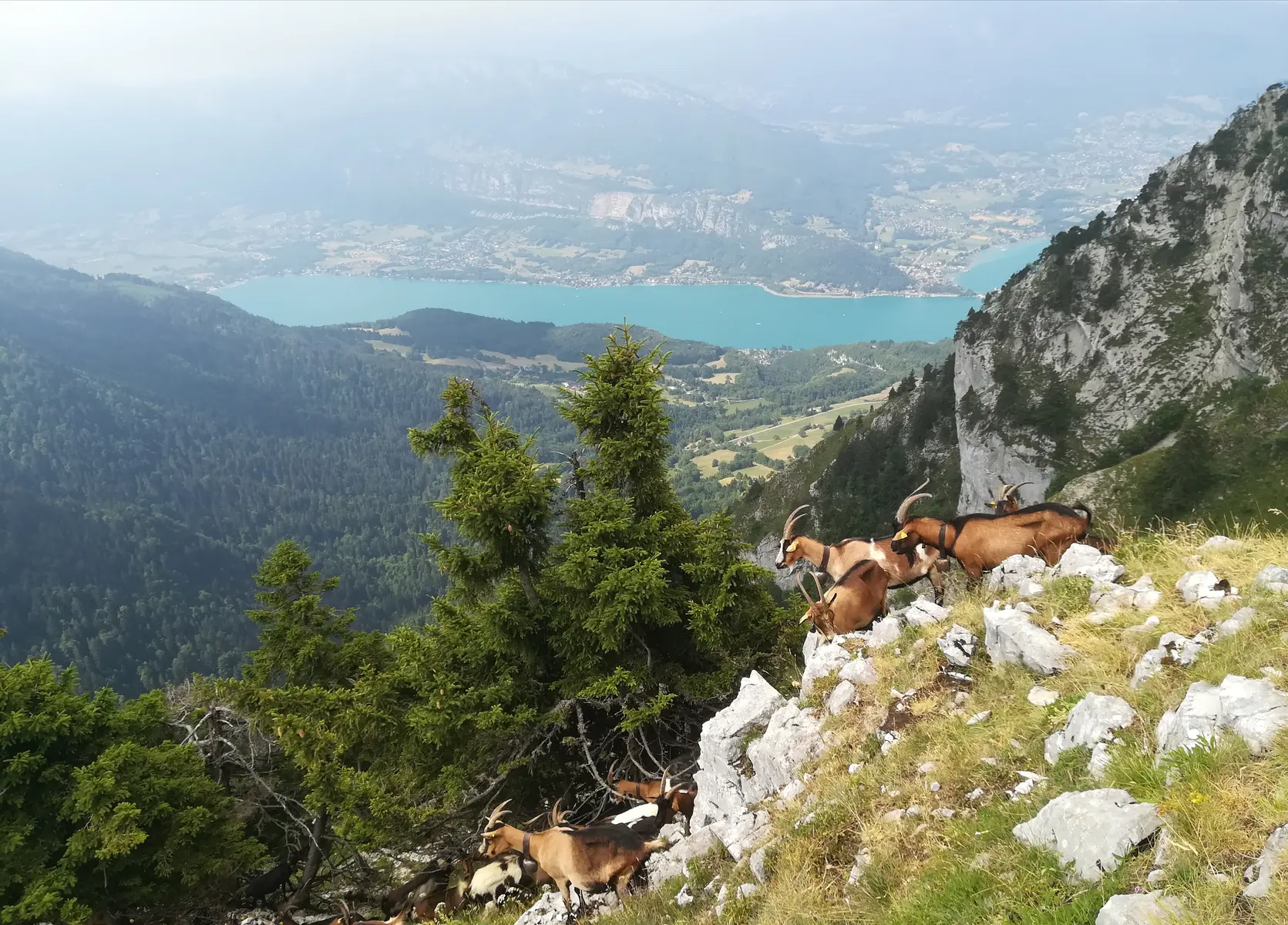Rando Pointe de Talamarche