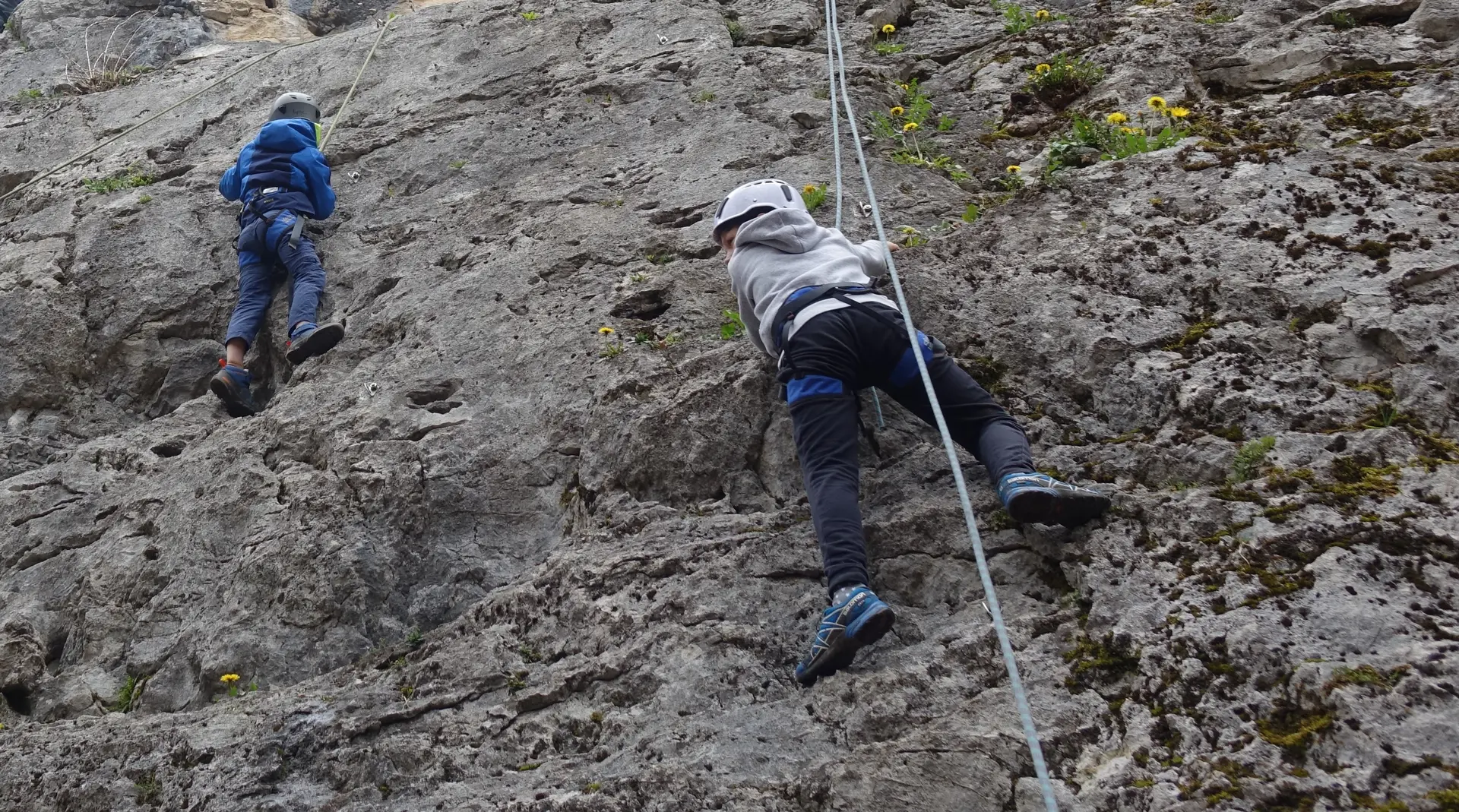 Blocs de la Maladière