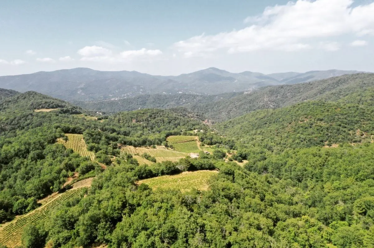 Domaine de l'Avellan à Collobrières