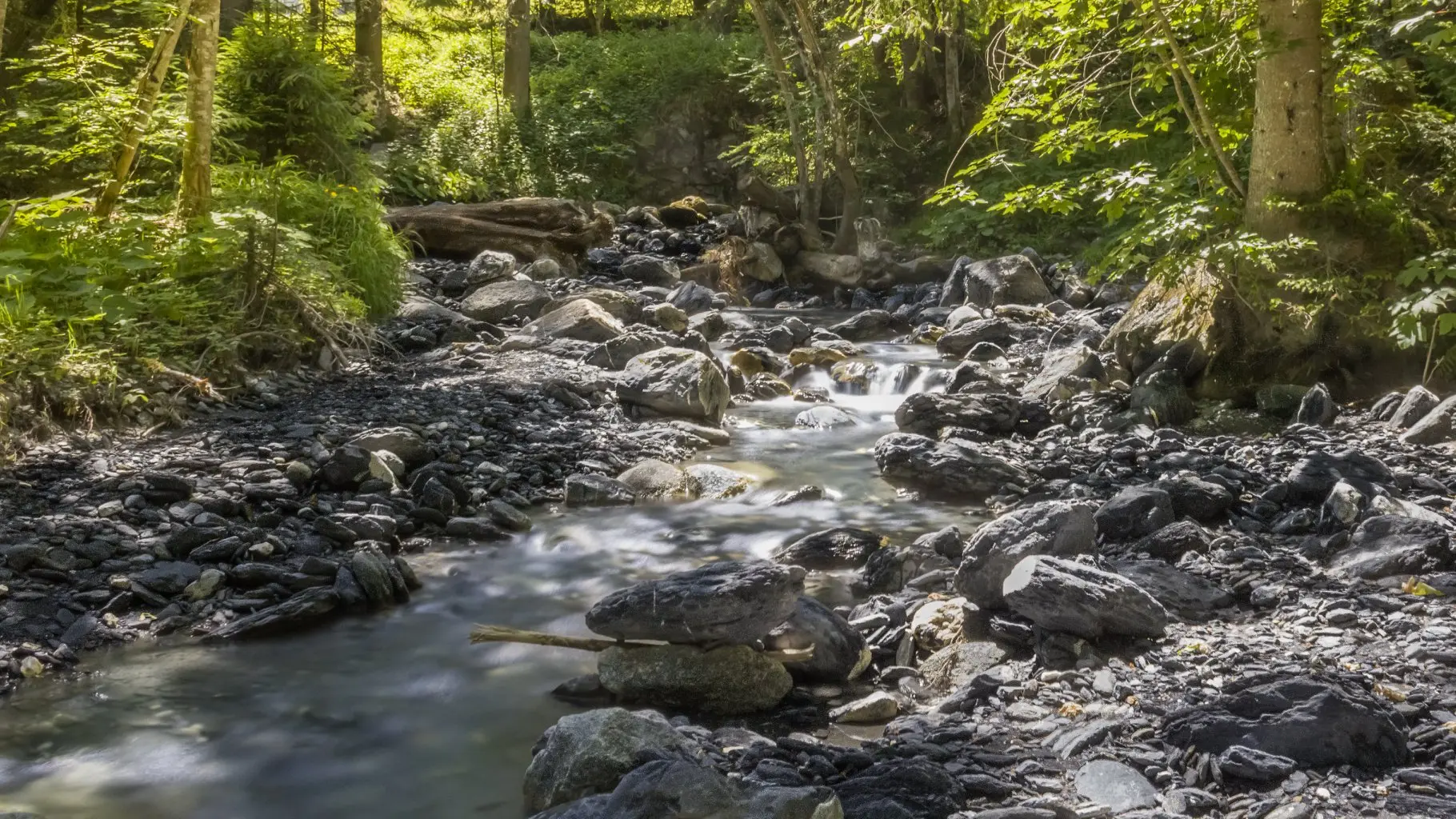 Torrent de la Jorasse