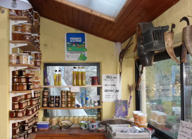 Campagne le Serre_Moustiers-Sainte-Ma