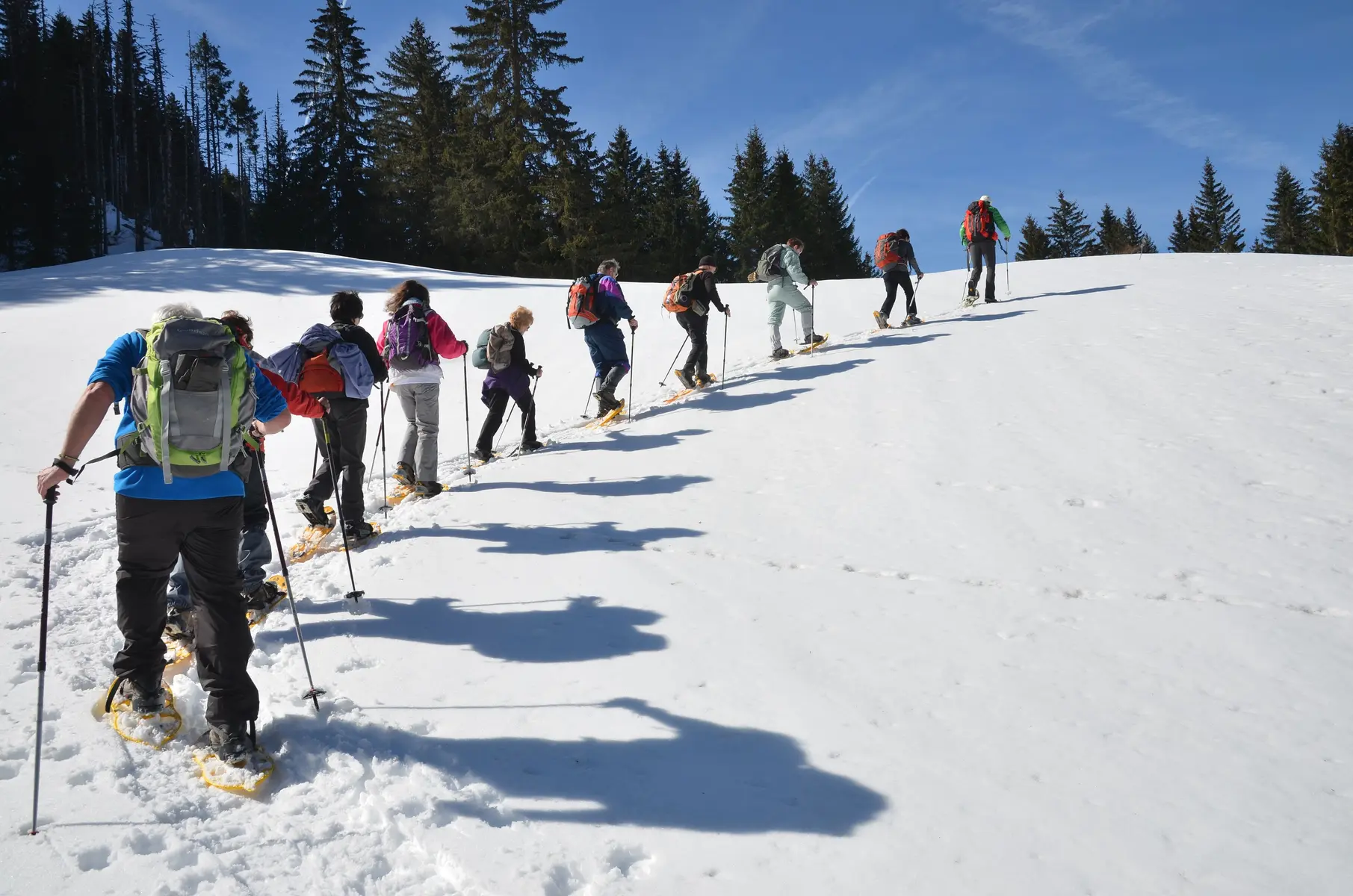 Rando raquettes journée en vallée d'Abondance