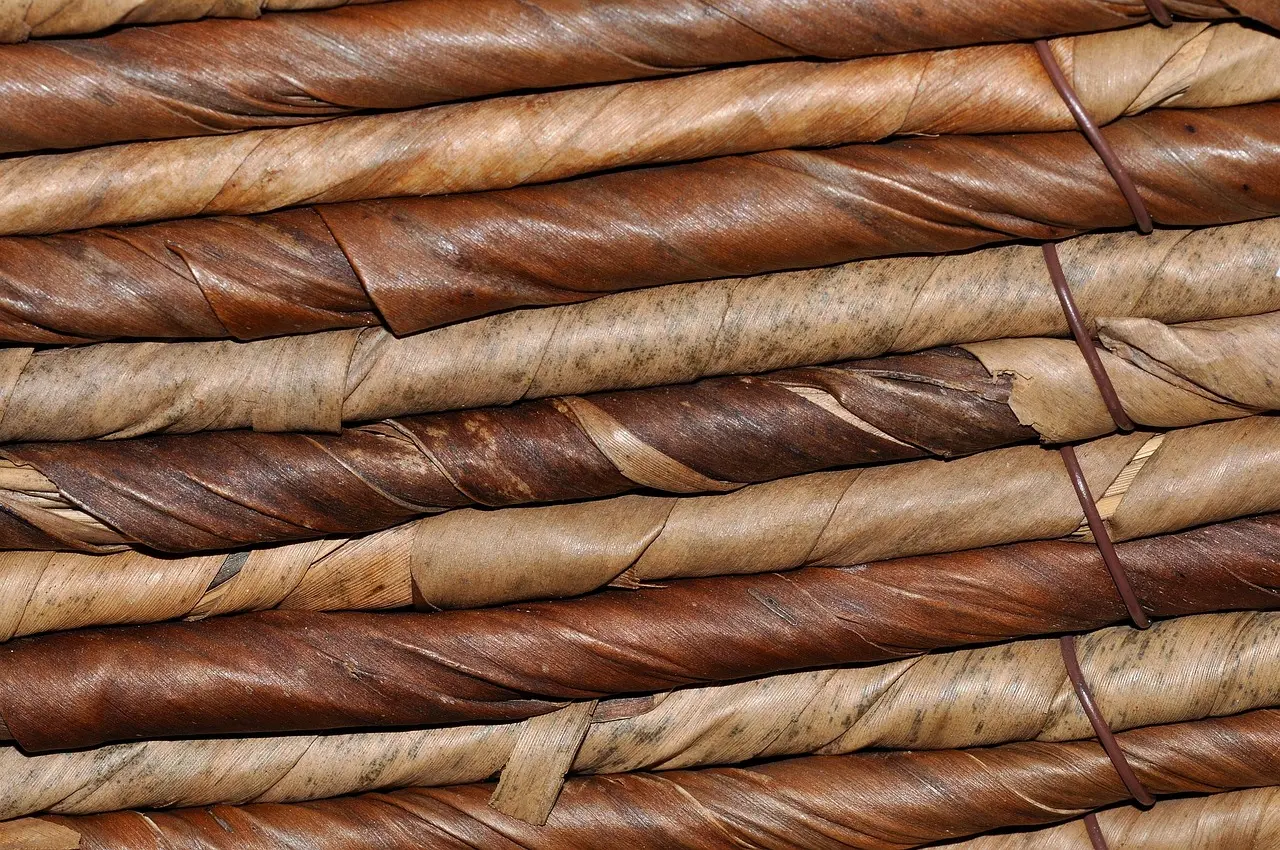 Vannerie sauvage_Arcon