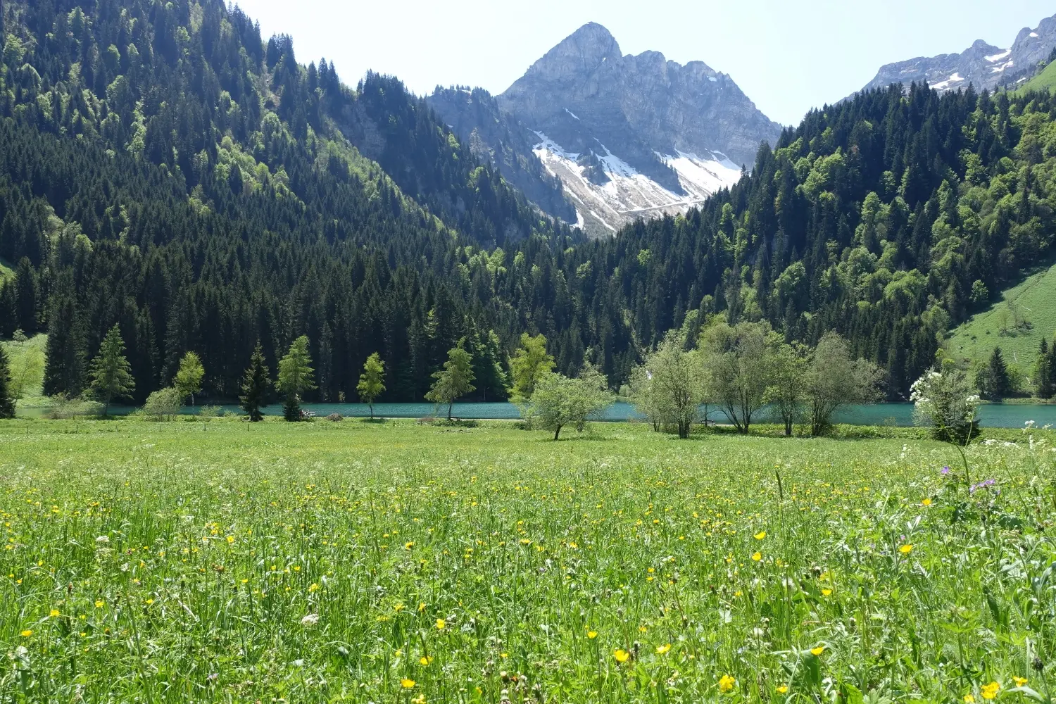 Vue de la Pointe de la Chavache depuis le lac des Plagnes