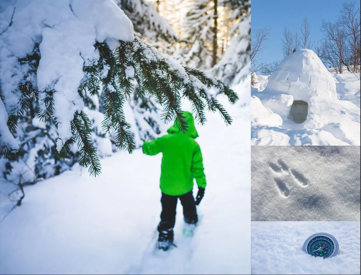 Enfant dans la forêt + traces d'animaux dans la neige + igloo