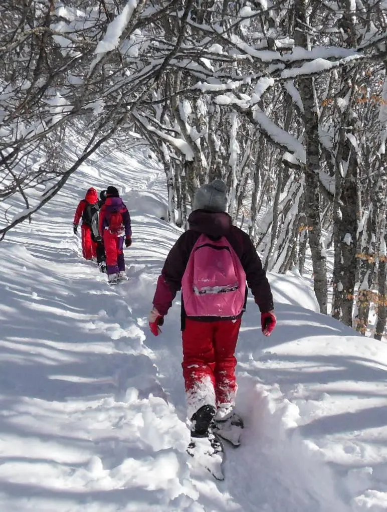Sortie en raquettes avec le bureau des accompagnateurs en montagne