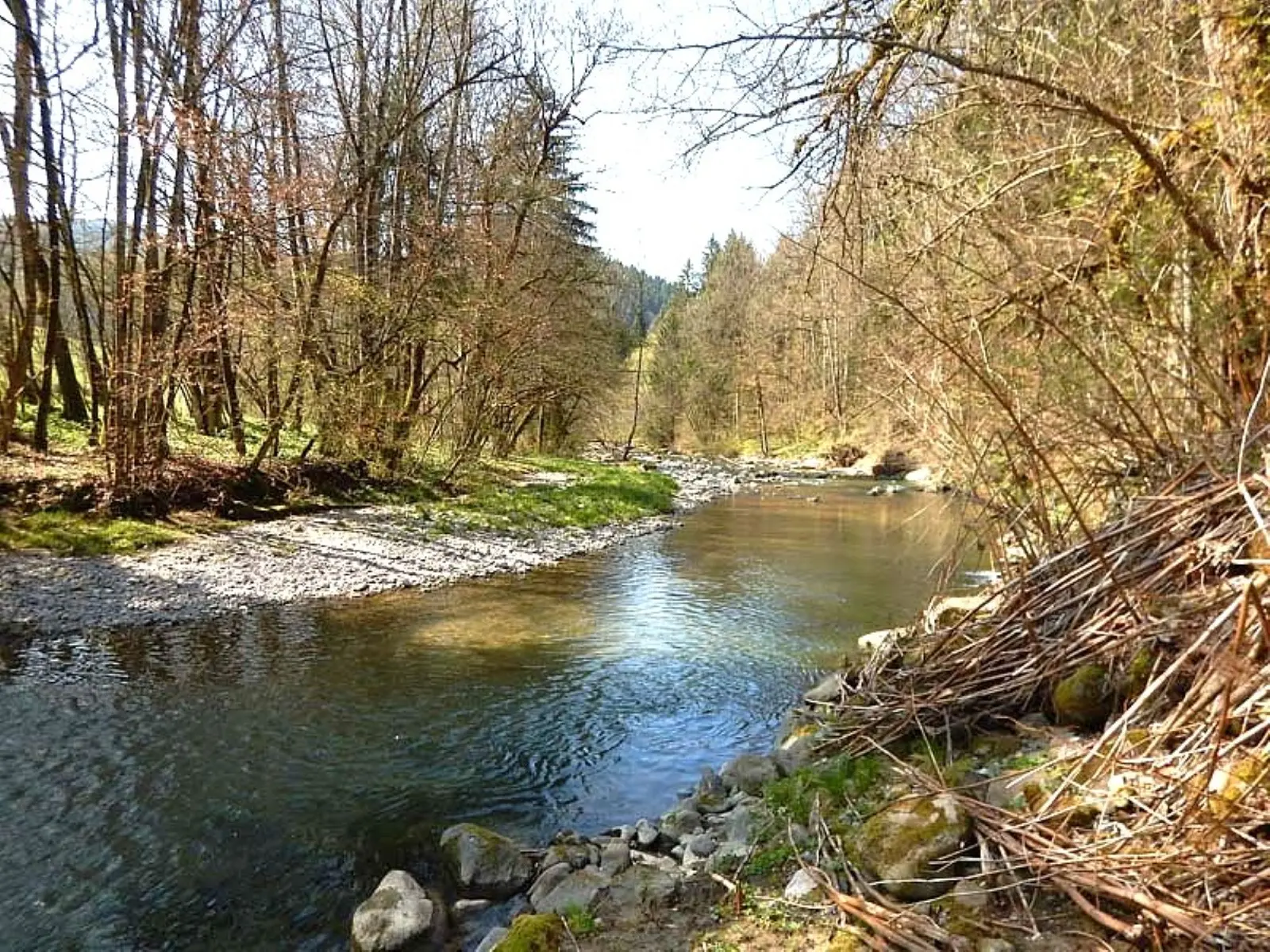 La Menoge pêche à la mouche
