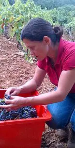 Microcosmos Marseille