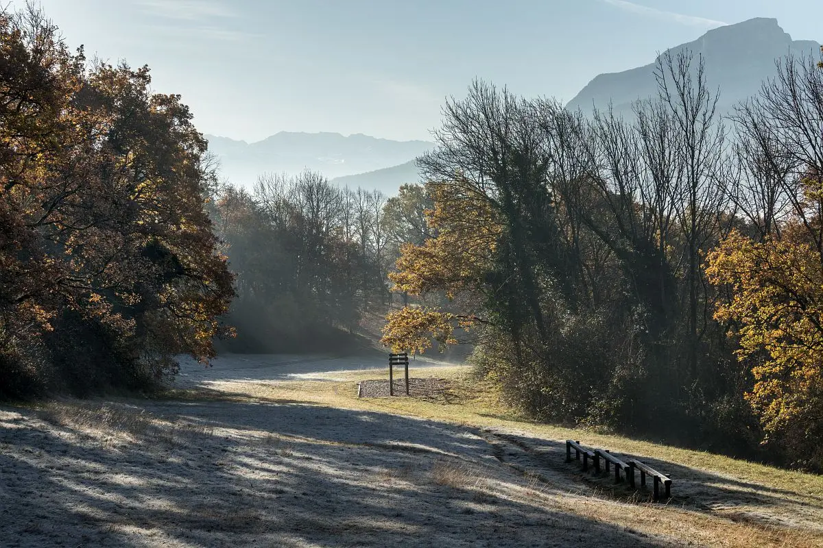 Forêt des Monts