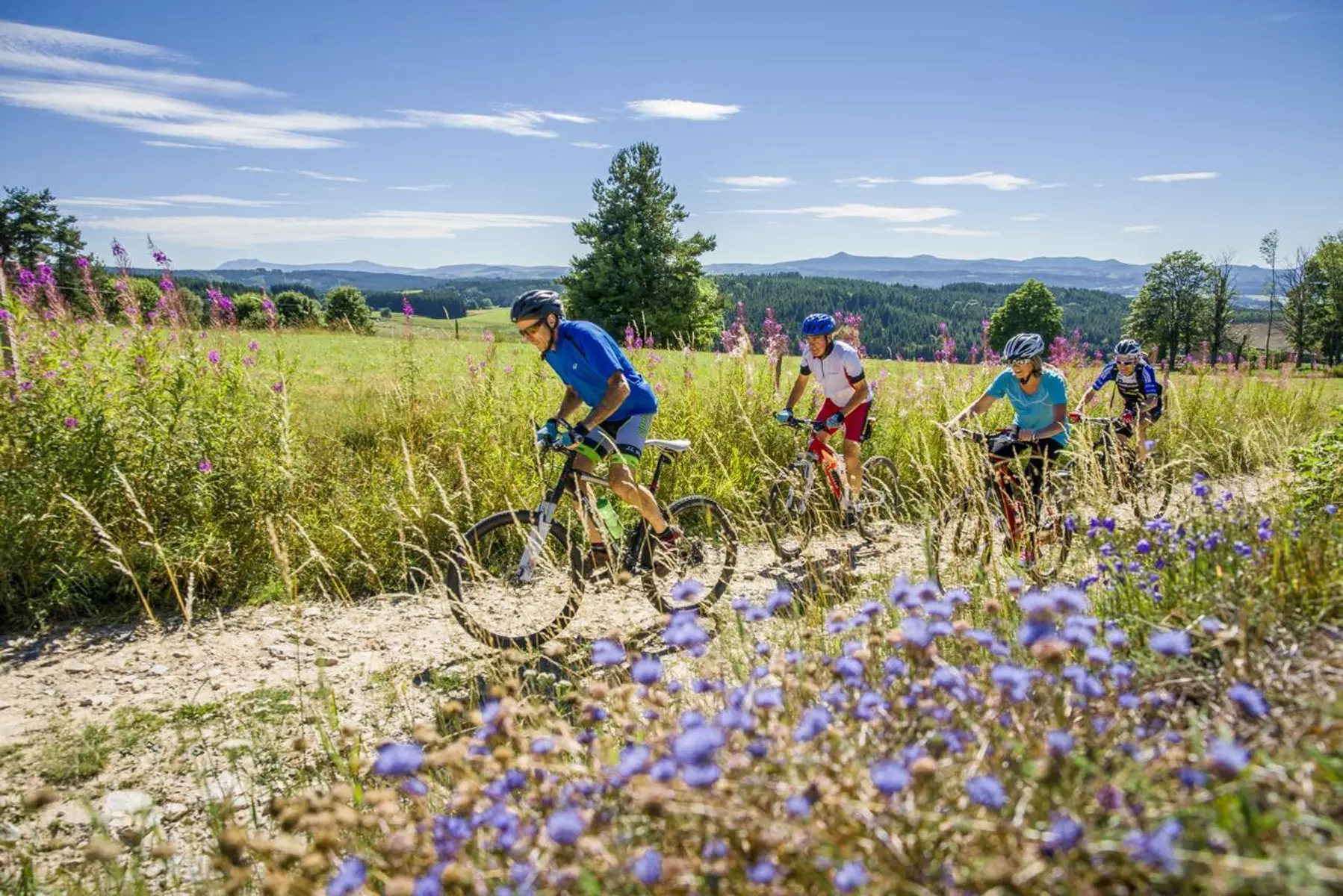 L'effort au milieu des fleurs