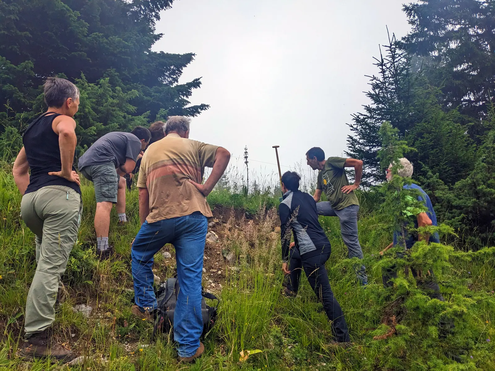 Chantiers nature de lutte contre les plantes invasives