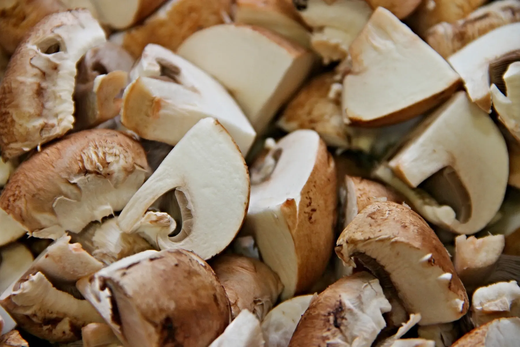 Producteur de champignons