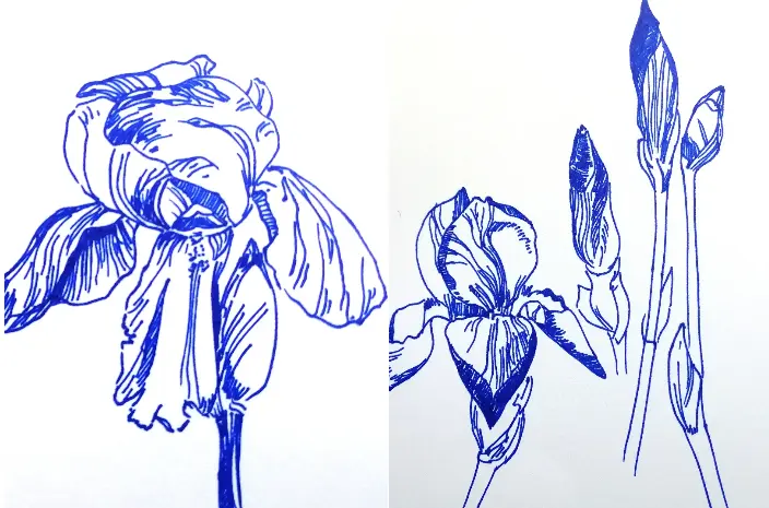 Amélie Gouraud, dessinatrice-sérigraphe_Houilles