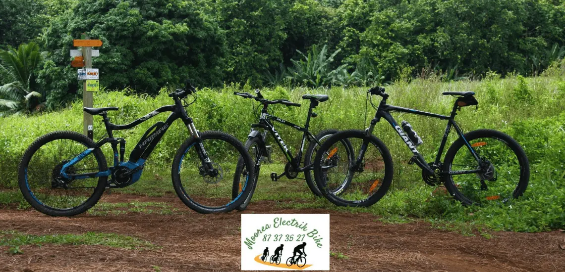 Moorea Electrik Bike