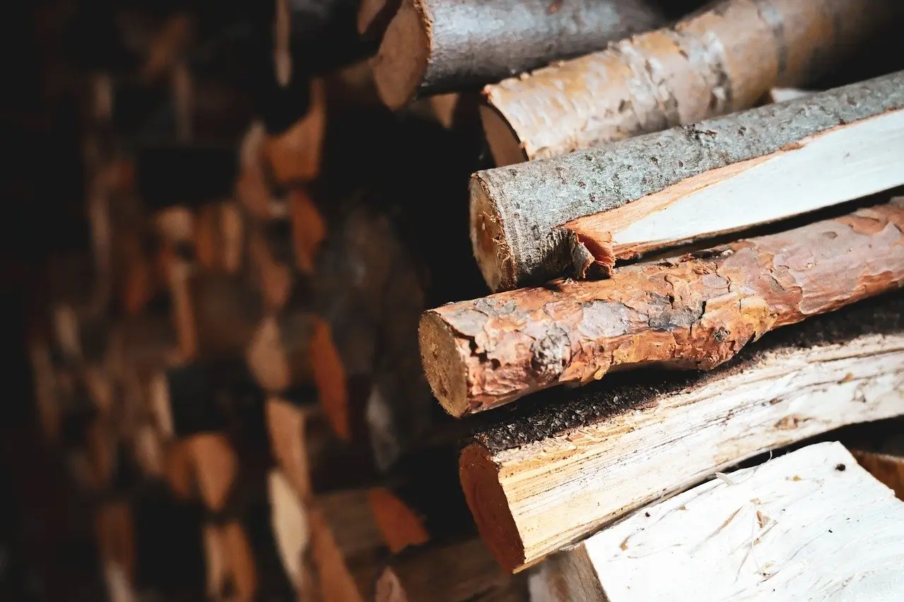 Construction de cabane_Arcon