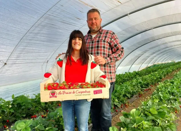 GAEC Pécoulette - M. MME CUER