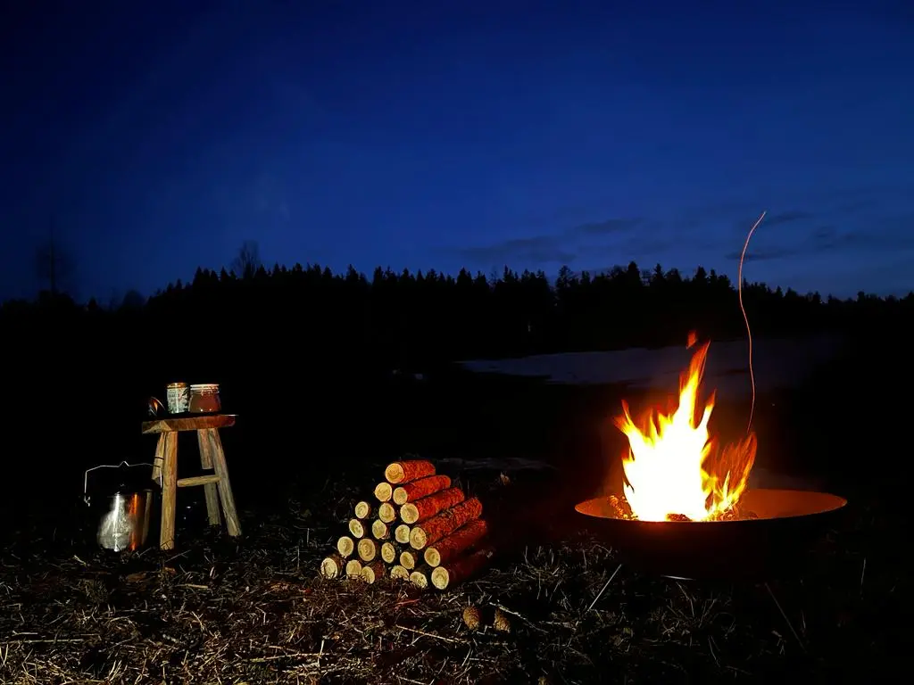 Cani-trappeurs avec Travel Dog