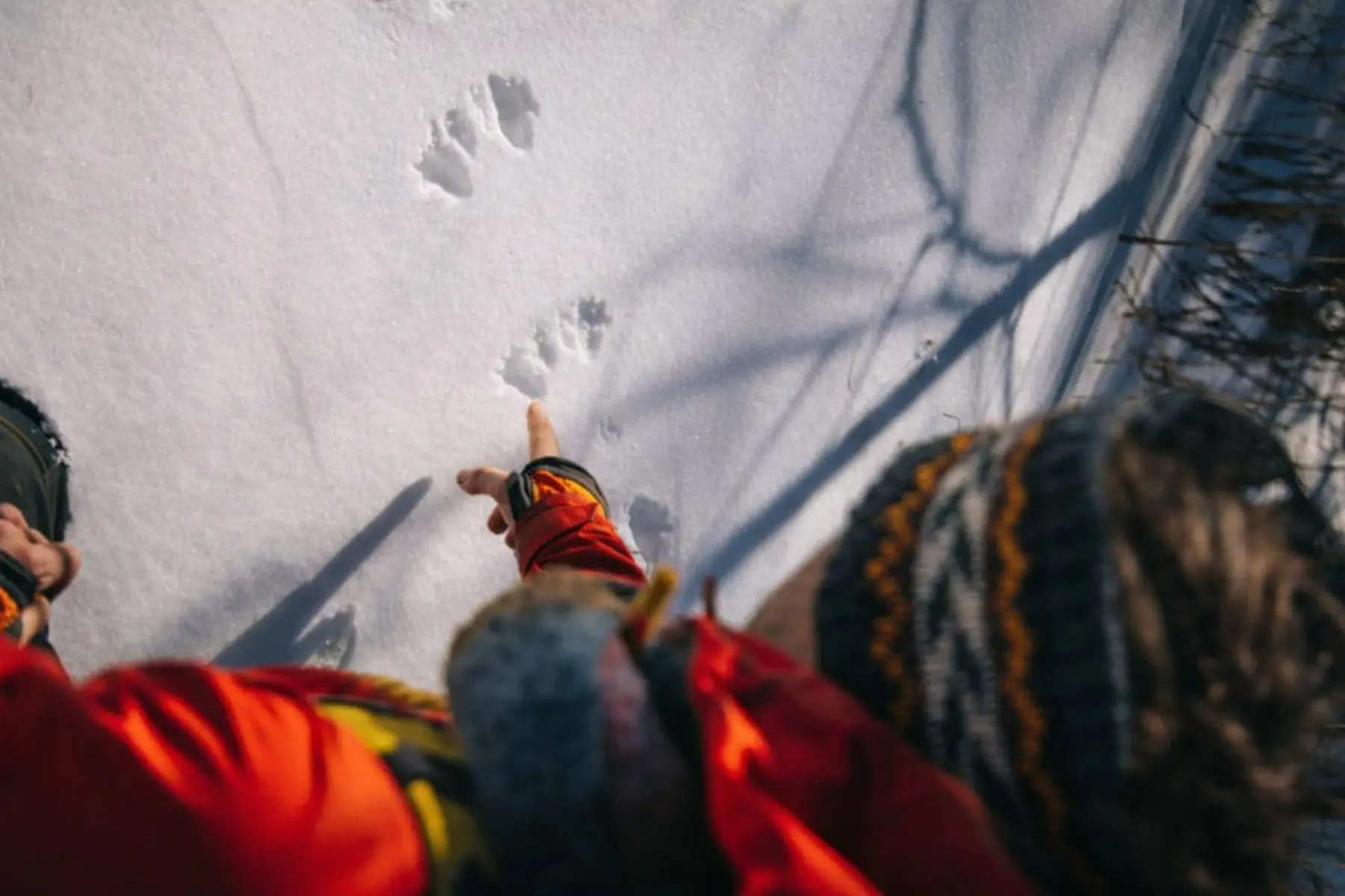 Randonnée découverte traces et indices des animaux_Auzet