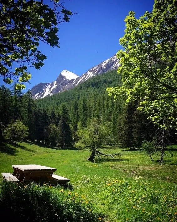 Près à la cabane vieille