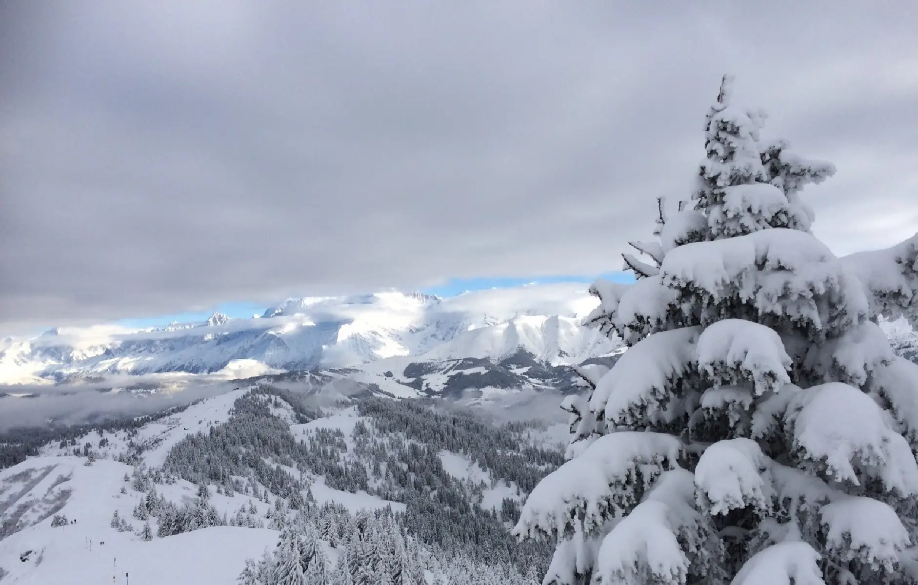 Les Crêtes du Torraz