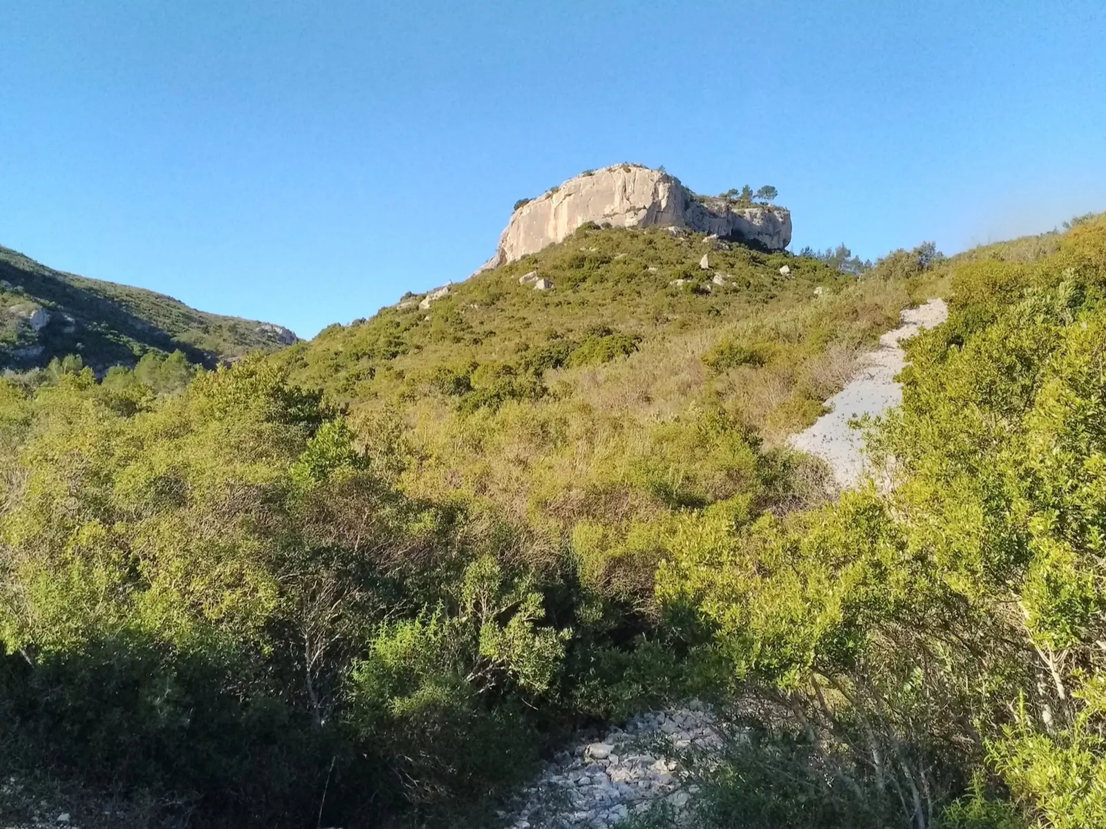 Vue dégagée sur un rocher entouré par la végétation verdoyante
