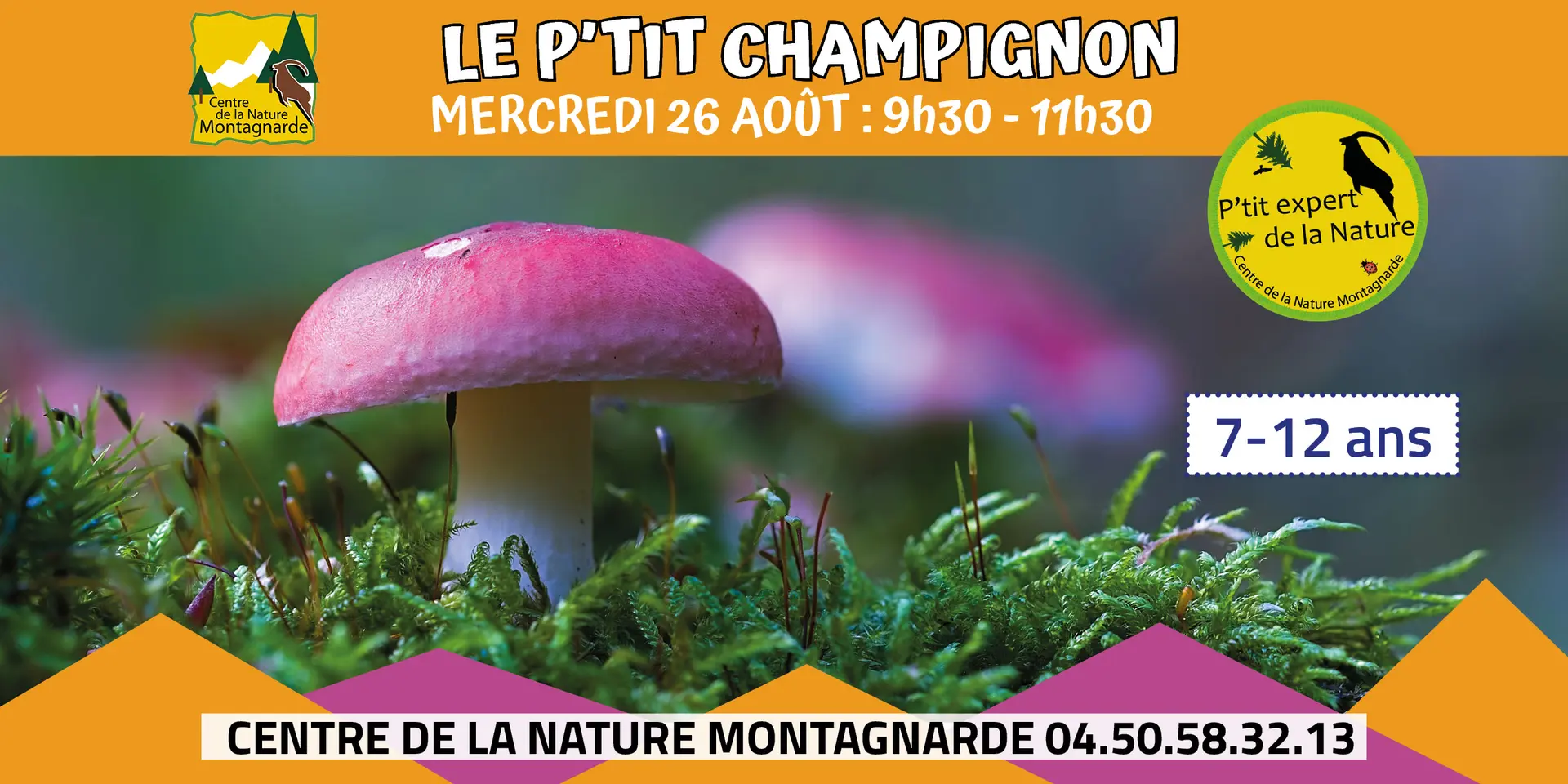 P'tit champignon
