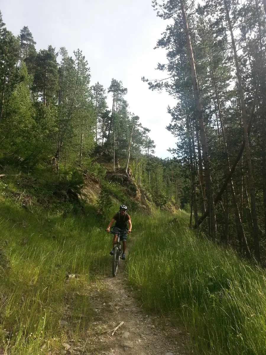 Vététiste en forêt