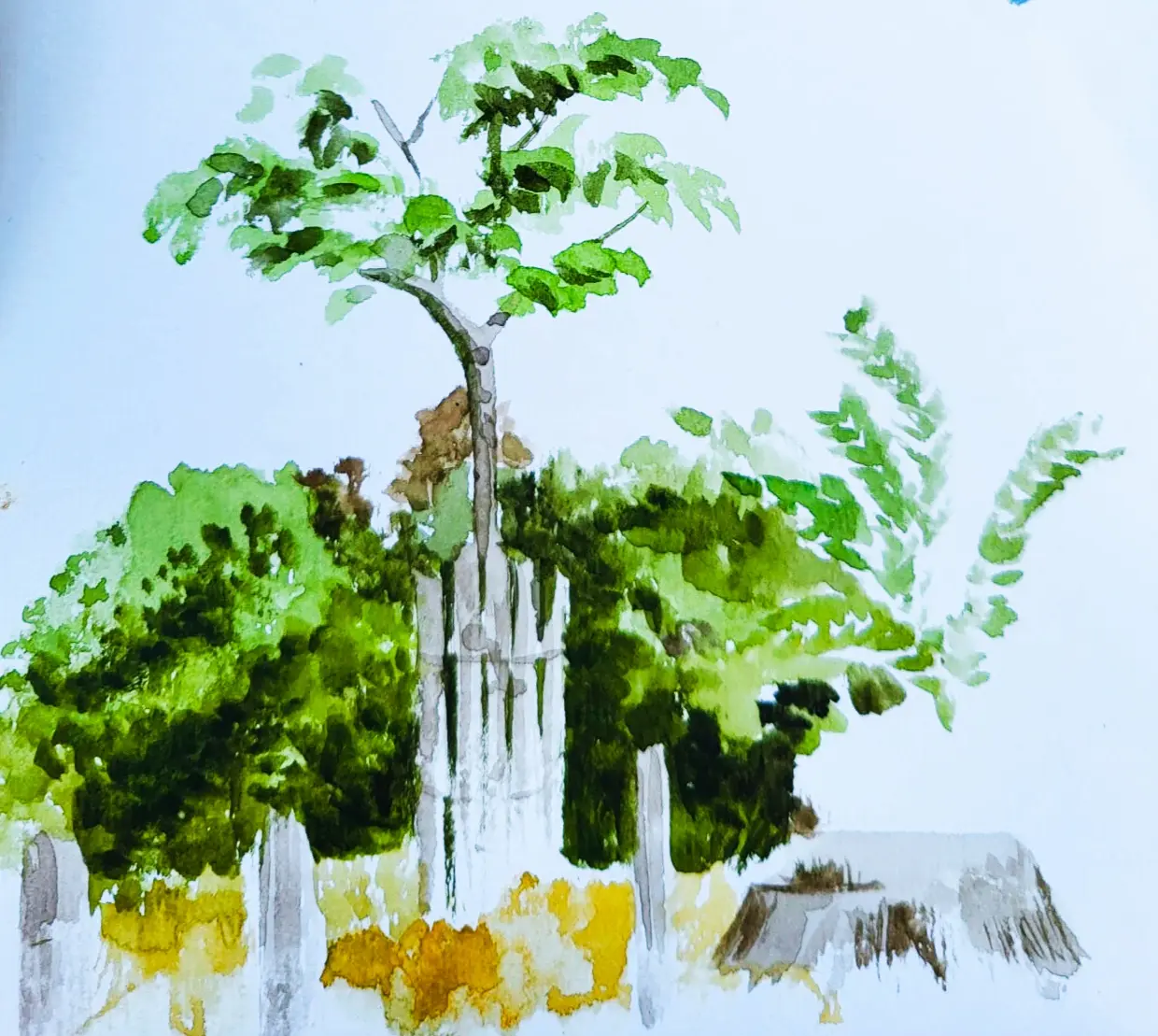 Ateliers découverte de l'aquarelle avec Eliz
