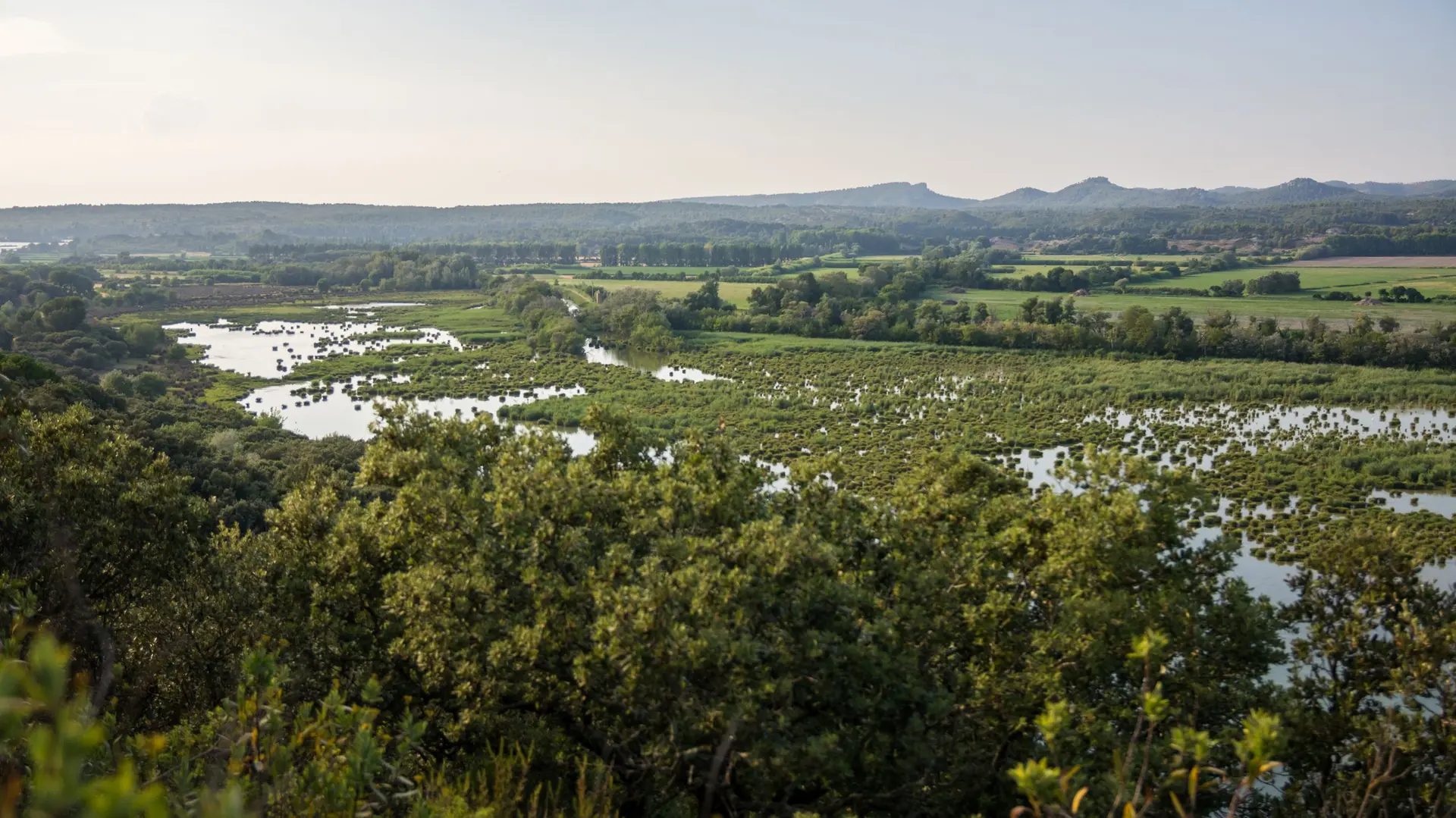 Vue sur le marais de l'Ilon
