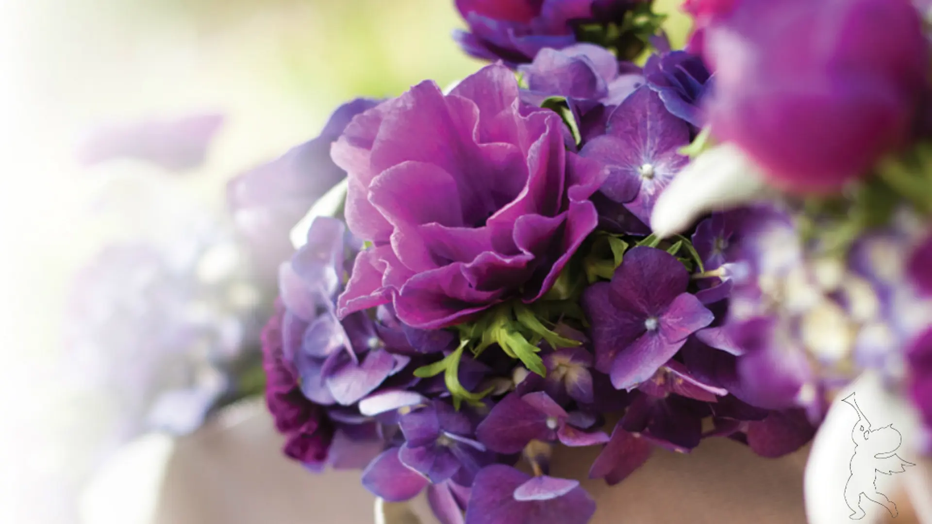 Fleurs