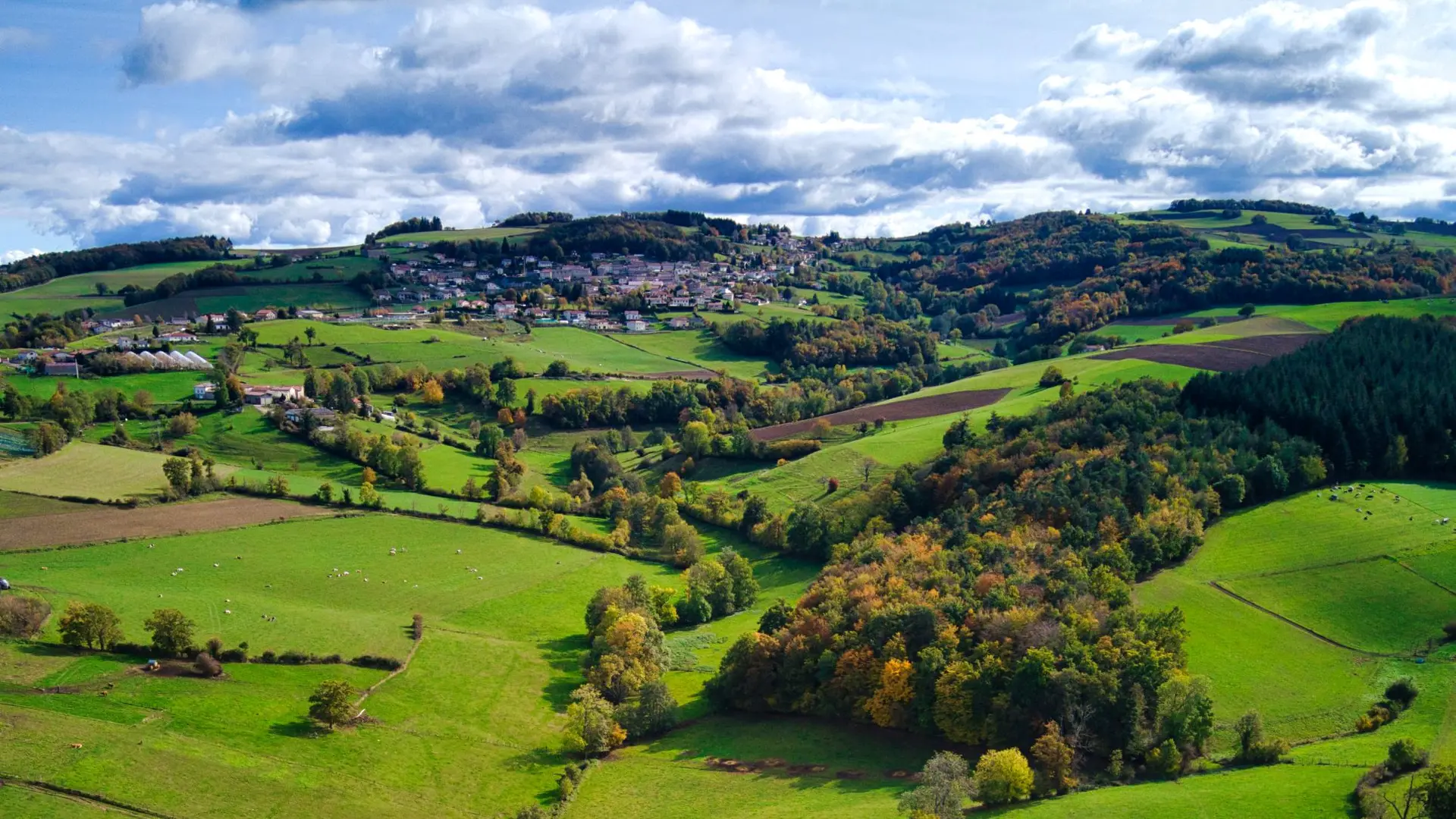 Panorama