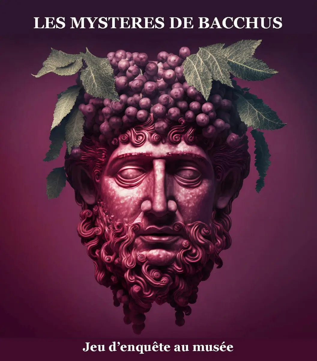 Jeu numérique Les mystères de Bacchus