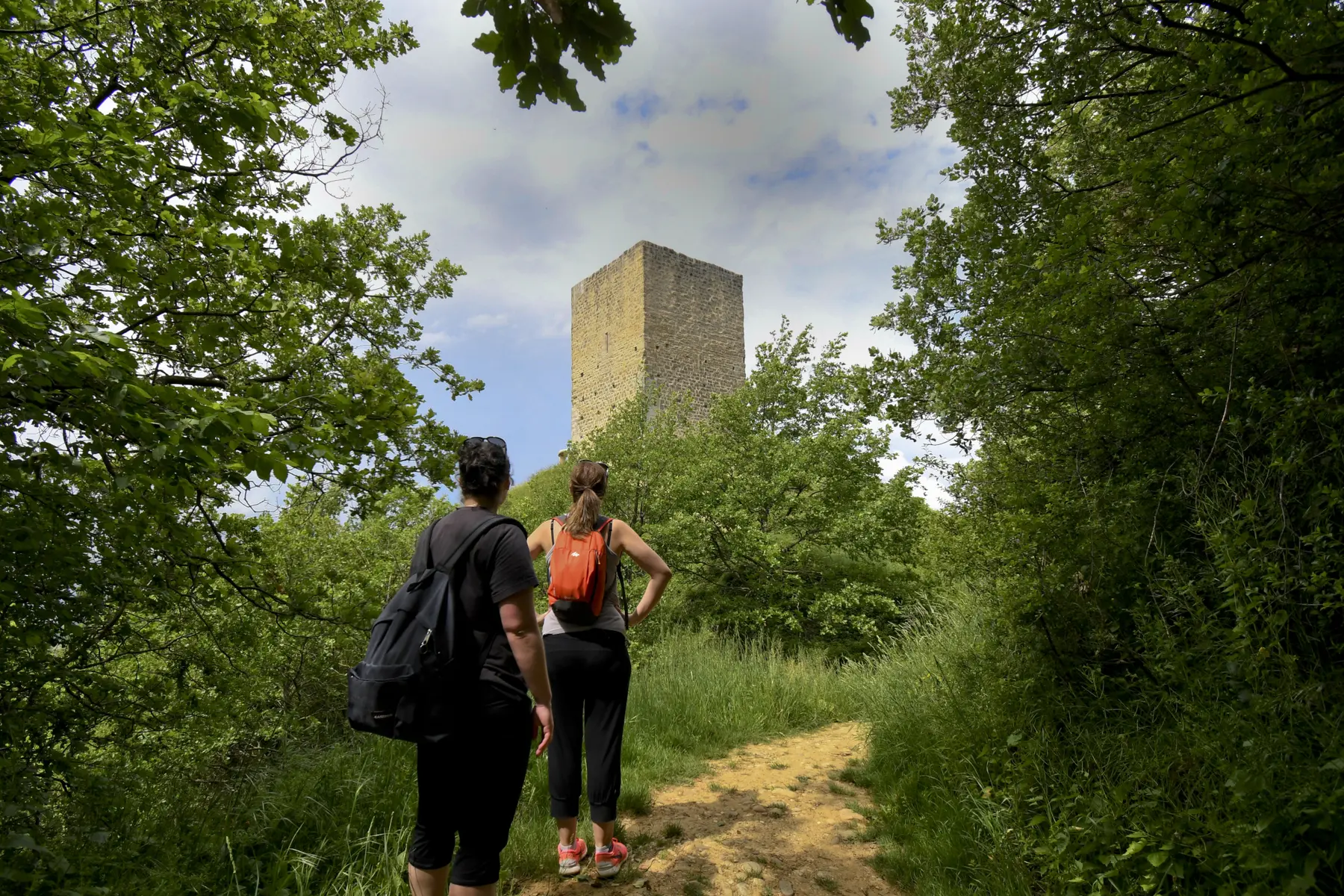 La Vigie du Dauphiné_Anneyron