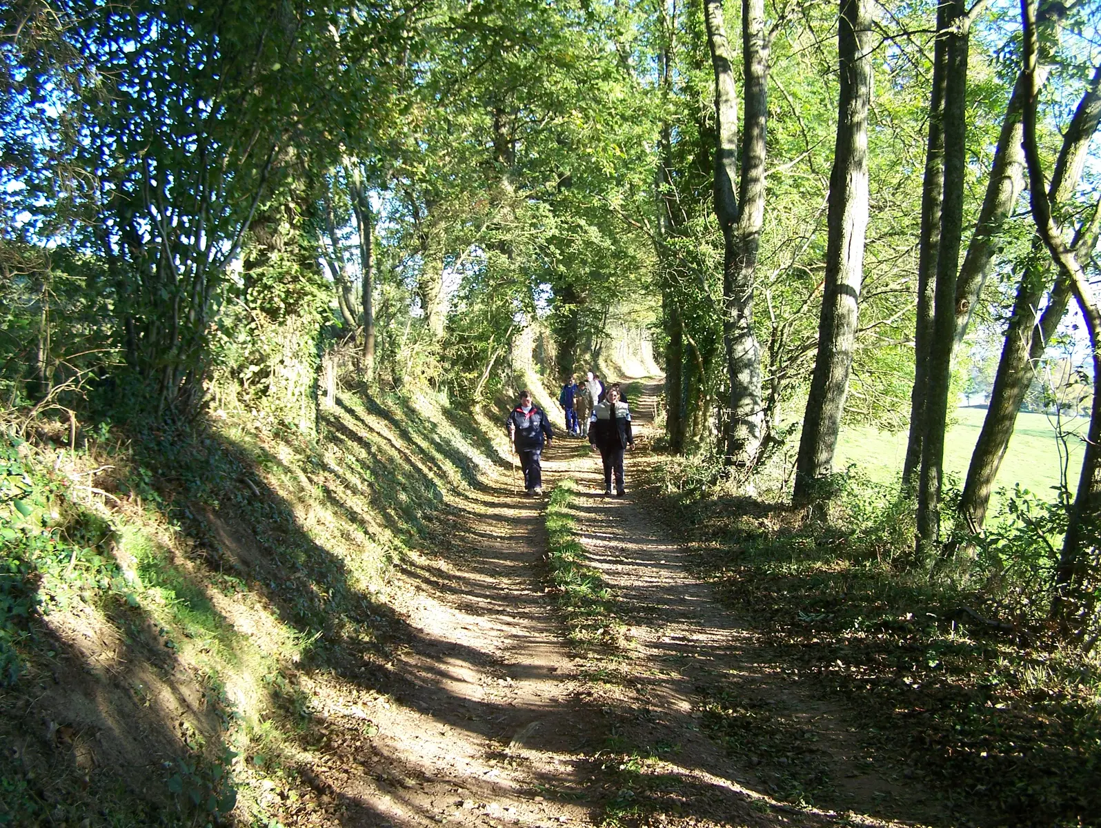 marche du 11 novembre_Régny