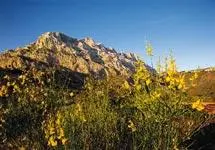 Réserve naturelle de Sainte Victoire