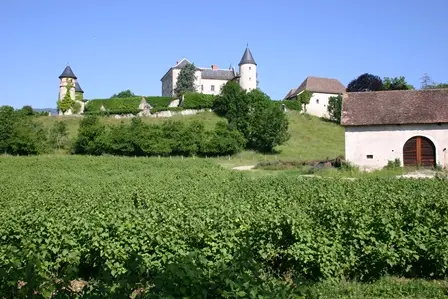 Chateau d'Andert-Condon