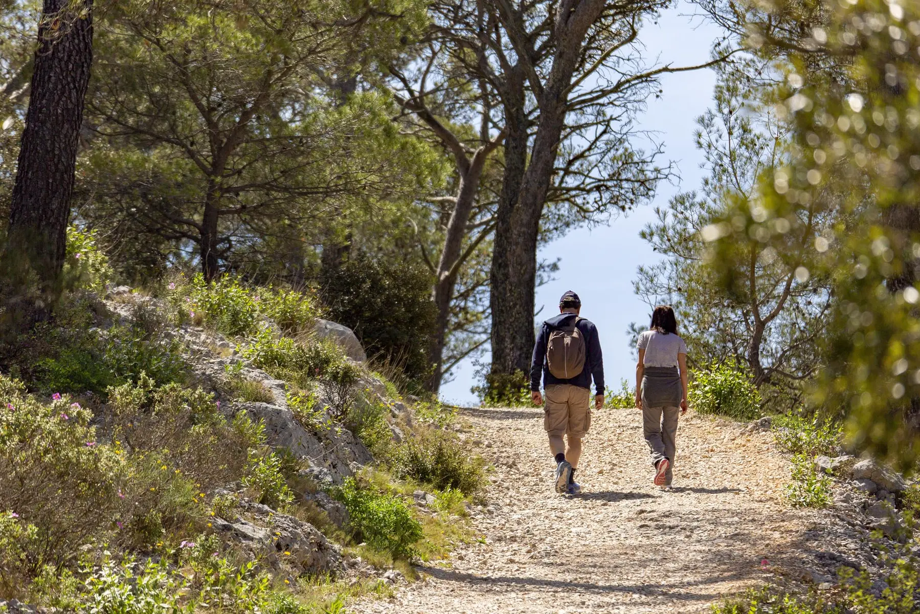 faron_sentier_OP_08_1