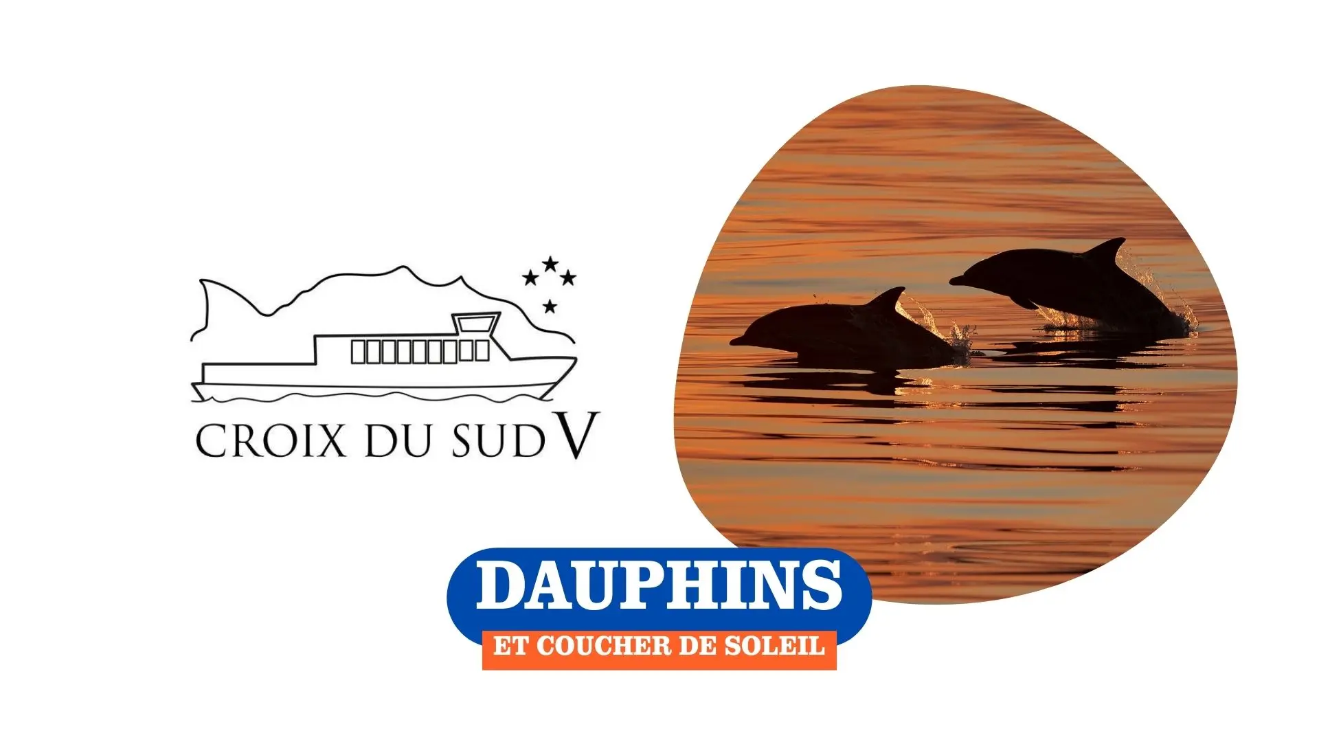 Dauphins & coucher de soleil | La Croix du Sud V_Sanary-sur-Mer