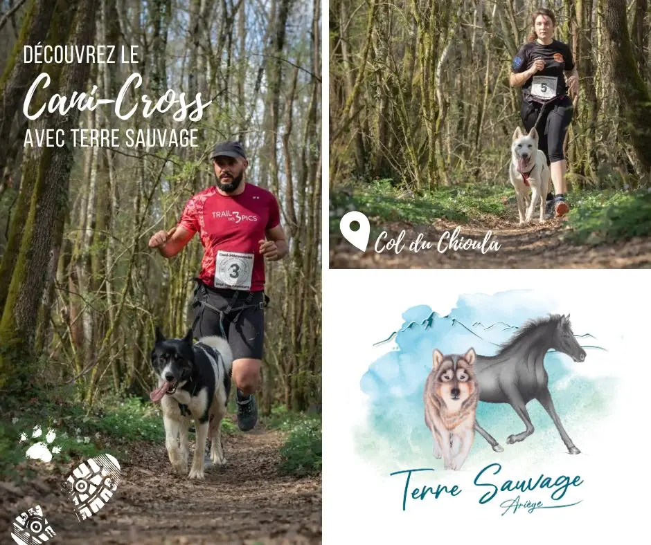 canicross au Chioula