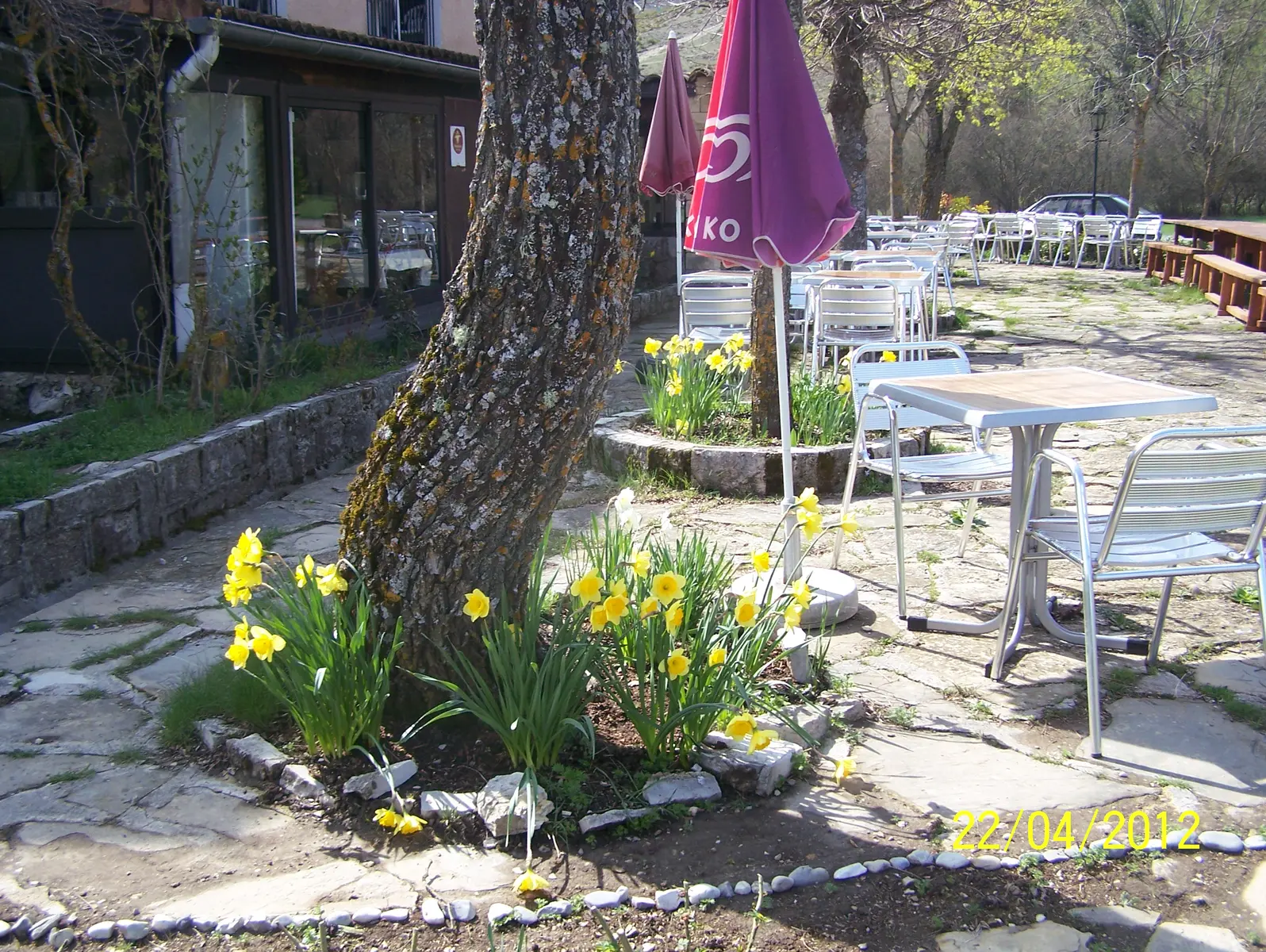 Terrasse