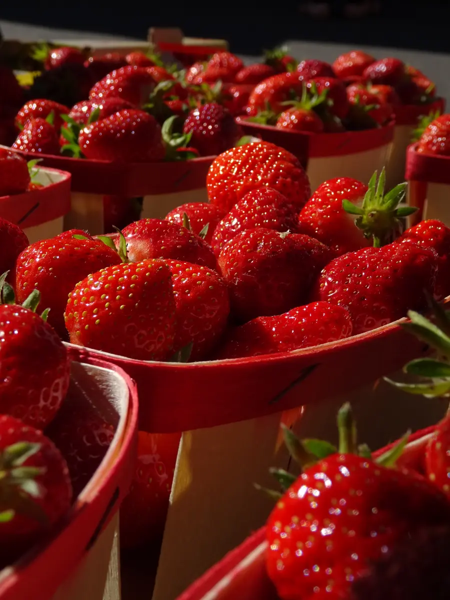 Fraises