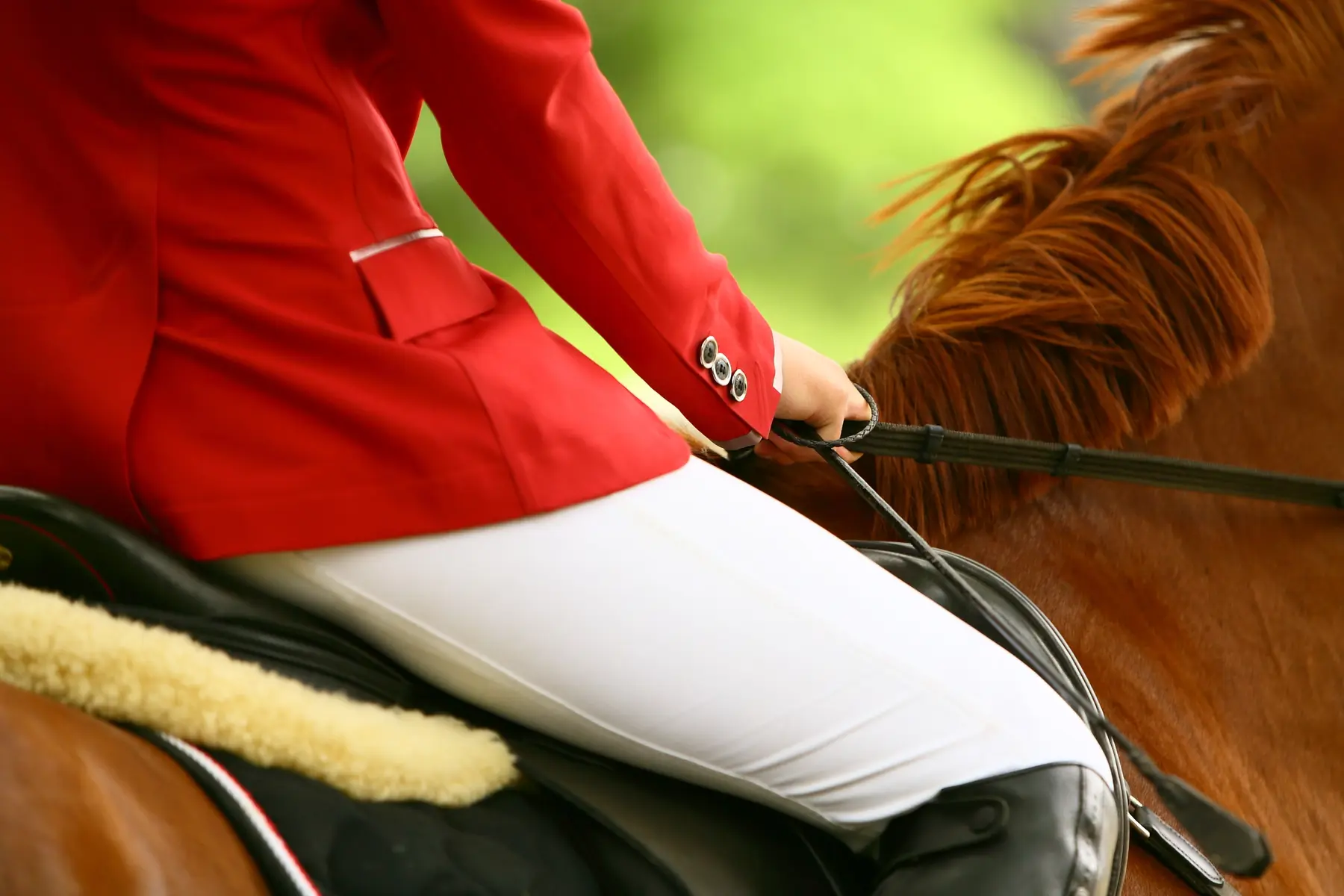 Le sport en Méditerranée Porte des Maures - équitation
