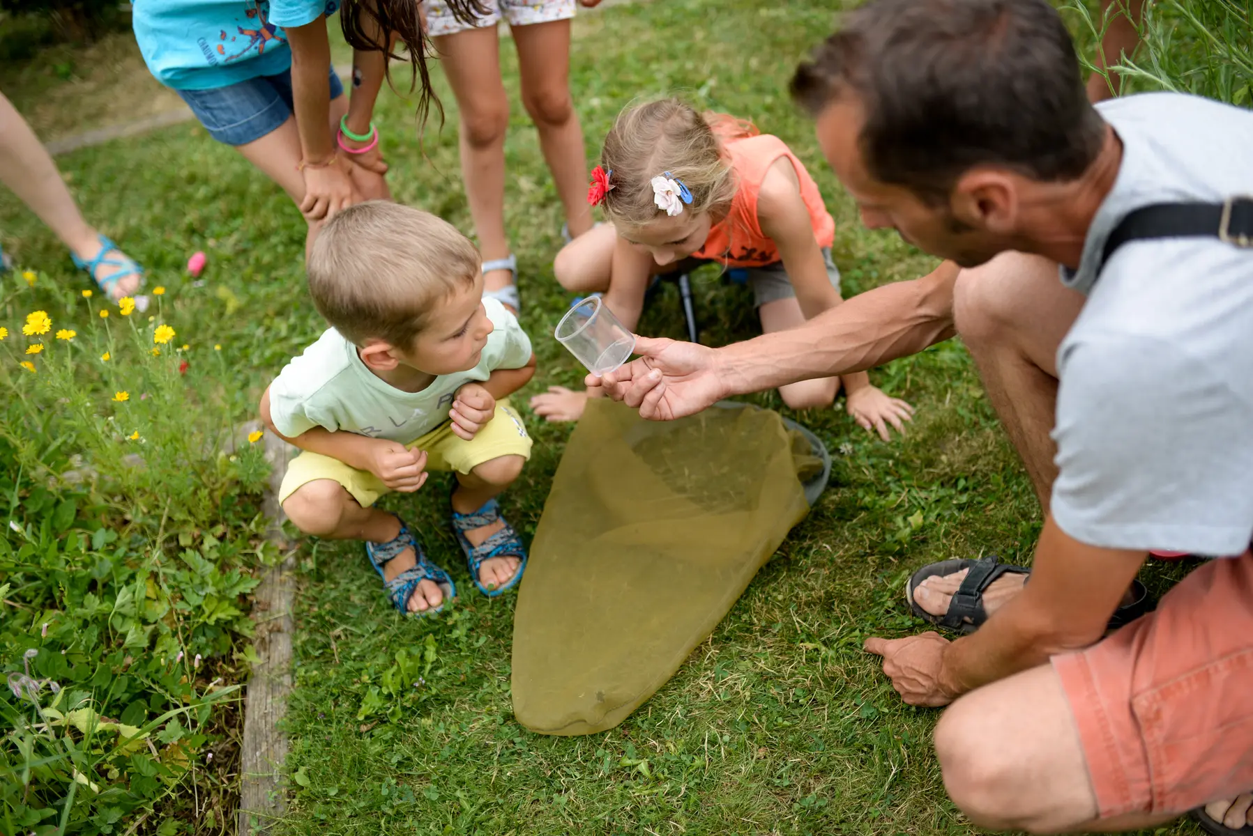 enfants qui regardent une capture d'insectes