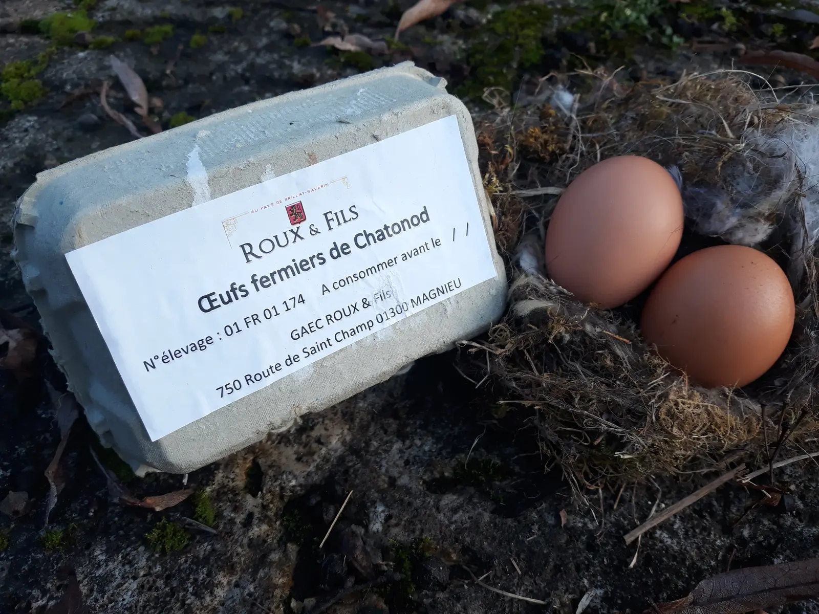 Oeufs bio de Chatonod