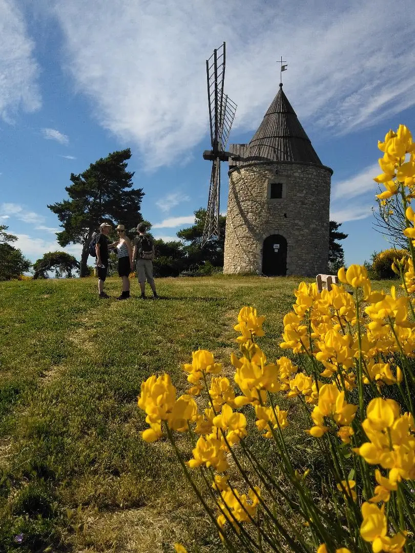 Le moulin de Montfuron