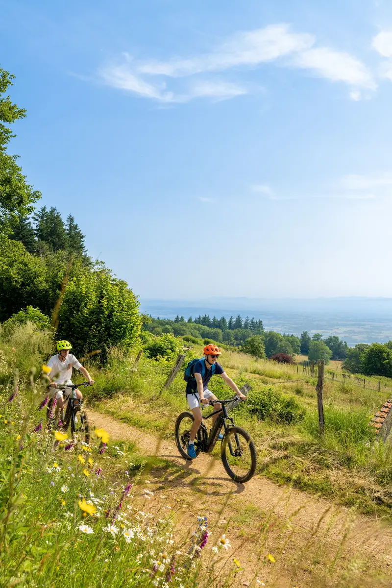 Balade VTT au cœur d'un massif forestier roannais